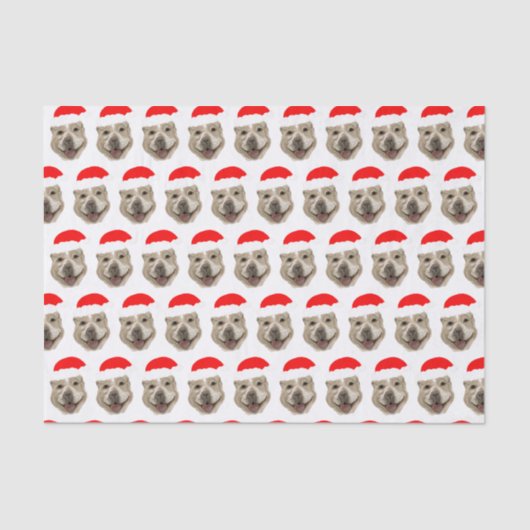 Santa Buddy Seidenpapier (Vorderseite)