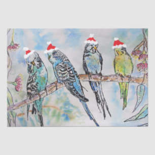 Santa Budgie Budgies Musterteppichpapier Seidenpapier