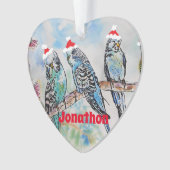 Santa Budgie Parrot Budgies Boys Name Ornament (Vorderseite)