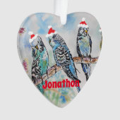 Santa Budgie Parrot Budgies Boys Name Ornament (Vorderseite)