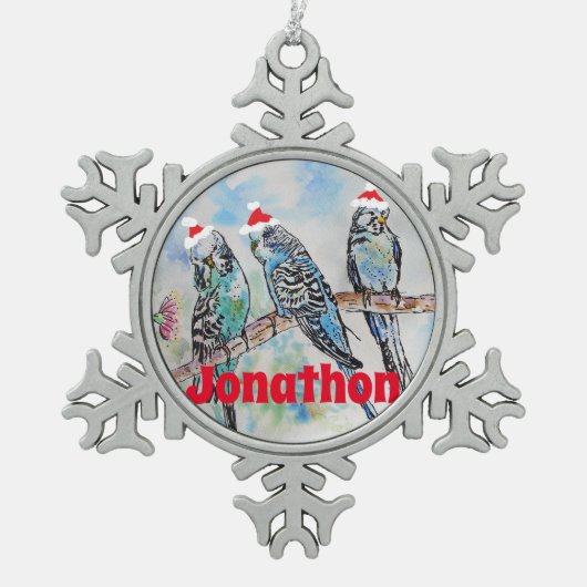Santa Budgie Parrot Budgies Boys Name Ornament (Vorderseite)