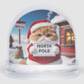Santa Cat am Nordpol oder Fotos Ihrer Katze Schneekugeln (Vorderseite)