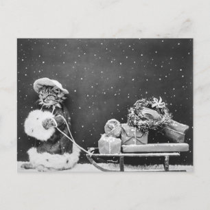 Santa Cat, eine Katze des Weihnachtsmanns Postkarte