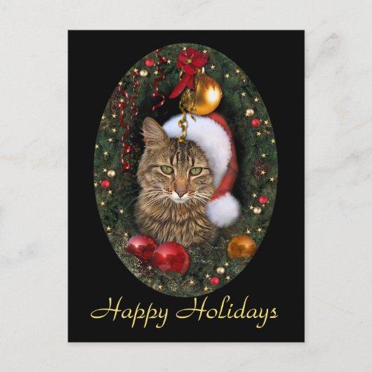 Santa Cat Feiertagspostkarte (Vorderseite)