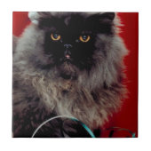 Santa Cat Fliese (Vorderseite)