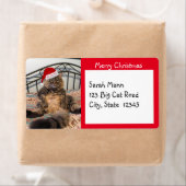 Santa Cat Frohe Weihnachtsmarken (Insitu)