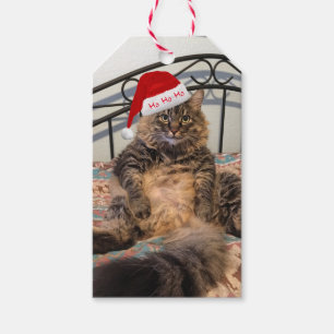 Santa Cat Ho Ho Ho Gift Tags Geschenkanhänger