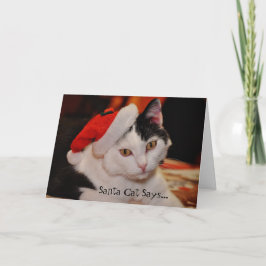 Santa Cat Lover Fun Weihnachtskarte Feiertagskarte