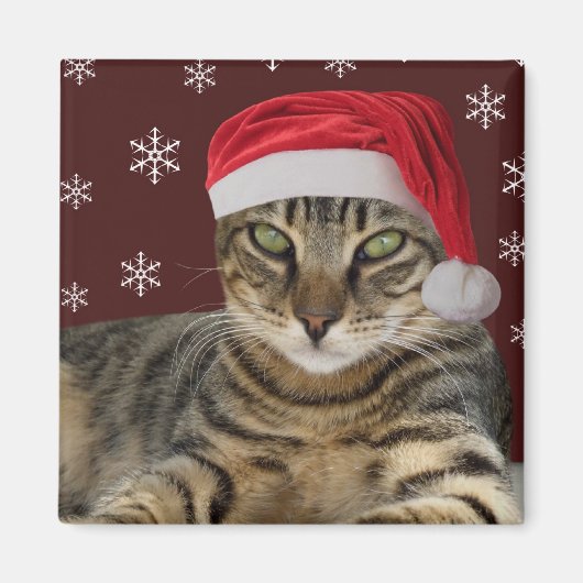 Santa Cat Magnet (Vorne)