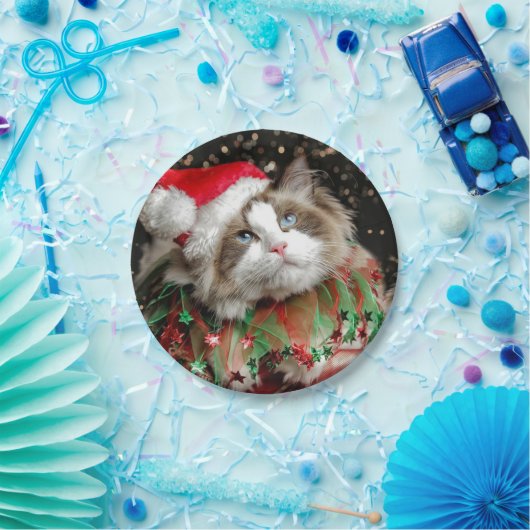 Santa Cat Pappteller (Party)