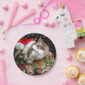 Santa Cat Pappteller (Party)