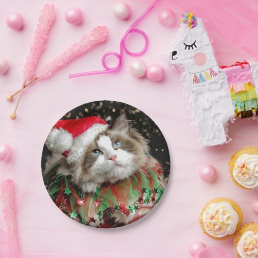 Santa Cat Pappteller (Party)