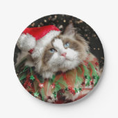 Santa Cat Pappteller (Vorderseite)