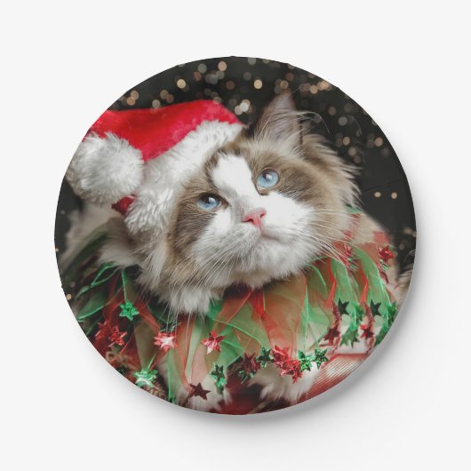 Santa Cat Pappteller (Vorderseite)