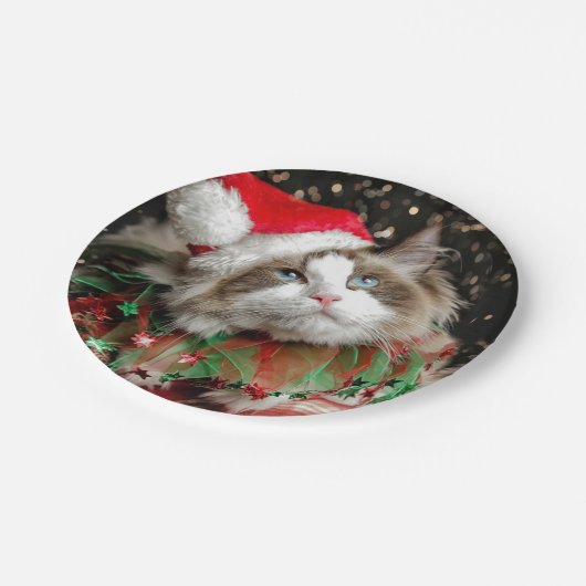 Santa Cat Pappteller (Schrägansicht)