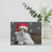 Santa Cat Postcard Feiertagspostkarte (Stehend Vorderseite)