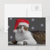 Santa Cat Postcard Feiertagspostkarte (Vorne/Hinten)