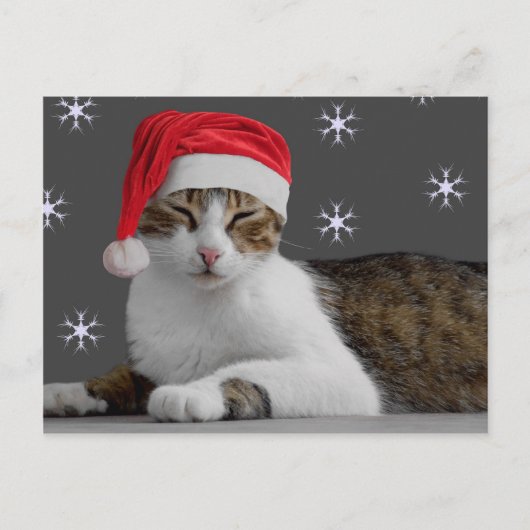 Santa Cat Postcard Feiertagspostkarte (Vorderseite)