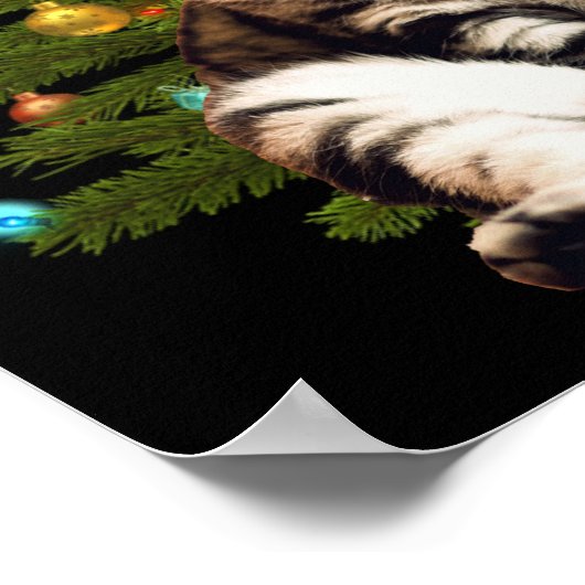 Santa Cat Poster (Ecke)