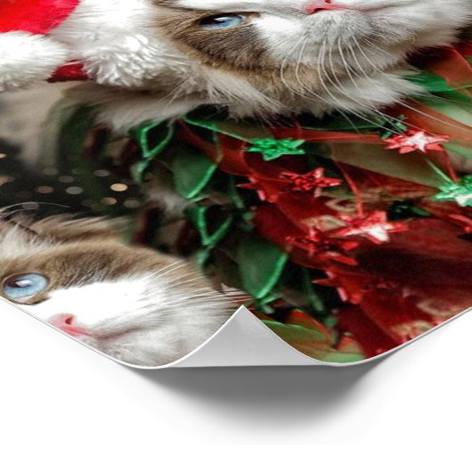 Santa Cat Poster (Ecke)