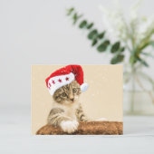 Santa Cat Postkarte (Stehend Vorderseite)