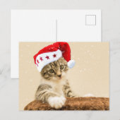 Santa Cat Postkarte (Vorne/Hinten)