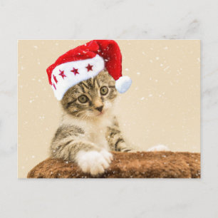 Santa Cat Postkarte