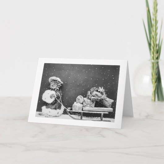 Santa Cat Still Image (1914) Weihnachten (Vorderseite)