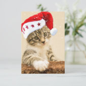 Santa Cat Weihnachten Dankeskarte (Stehend Vorderseite)