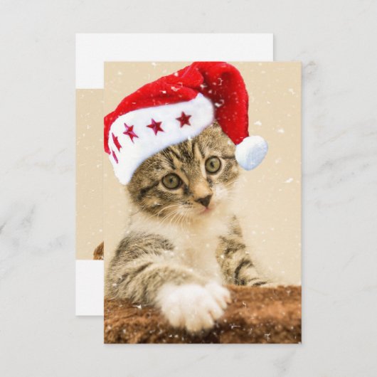 Santa Cat Weihnachten Dankeskarte (Vorne/Hinten)