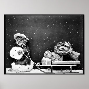 Santa Cat Weihnachtsgeschenke ausliefern Poster
