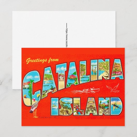 Santa Catalina Island Postkarte (Vorne/Hinten)