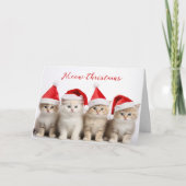 Santa Cats Karte (Vorderseite)