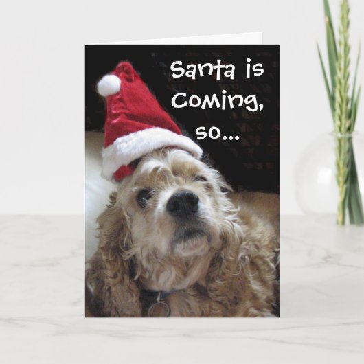 Santa Chance Dog Feiertagskarte (Vorderseite)