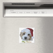 Santa Chase Magnet (In Situ (Geschirrspüler))