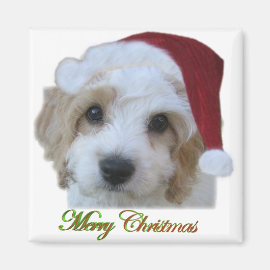 Santa Chase Magnet (Vorne)