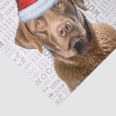 Santa Chesapeake Bay Dog Festlicher Weihnachtsurla Seidenpapier (Ausschnitt)