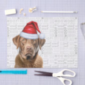Santa Chesapeake Bay Dog Festlicher Weihnachtsurla Seidenpapier (Handwerk)