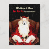 Santa Chihuahua Dog Red Funny New Address Moving Postkarte (Vorderseite)