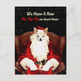 Santa Chihuahua Dog Red Funny New Address Moving Postkarte