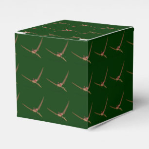 Santa Claus auf Quetzalcoatlus Geschenkschachtel
