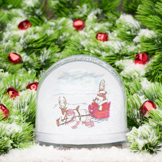Santa Claus Coup snow globe Schneekugeln (Weihnachten)