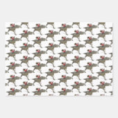 Santa Claus Lieben Dinosaurier Geschenkpapier Set (Vorderseite)