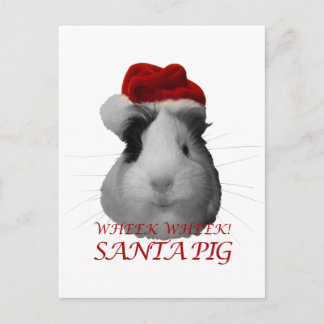 Santa Claus Pig Guinea Weihnachtsfeiertage Feiertagspostkarte