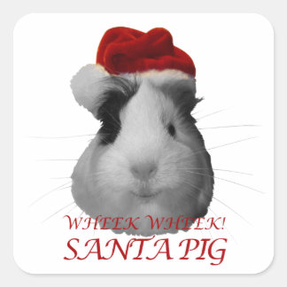 Santa Claus Pig Guinea Weihnachtsfeiertage Quadratischer Aufkleber