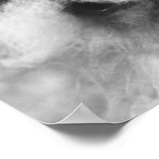 Santa Claus Poster (Ecke)