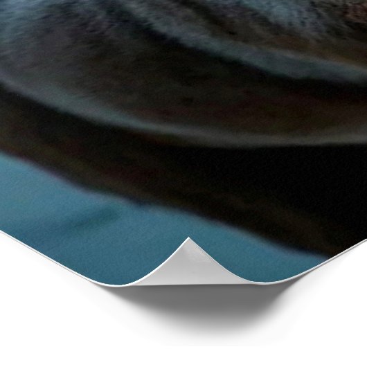 Santa Claus Poster (Ecke)