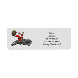 Santa Claus Riding A Gray Panther