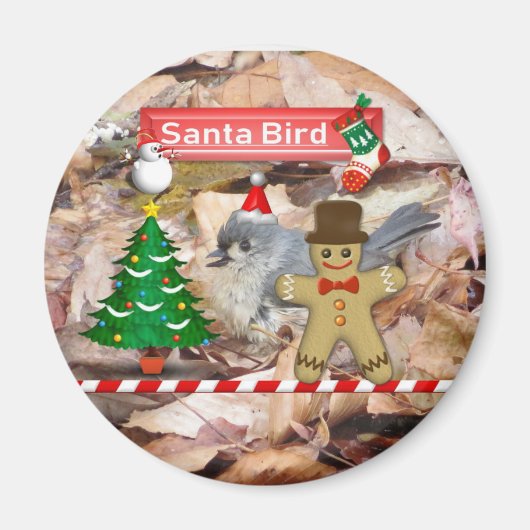 Santa Claus Vogelbeobachtung Magnet (Vorne)
