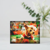 Santa Clause Chihuahua Frohe Weihnachten (Stehend Vorderseite)